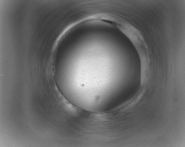 X0000081600816200701221135