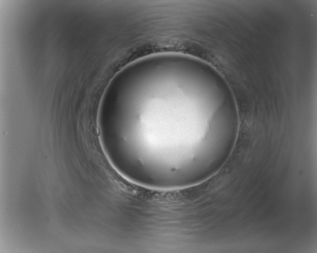 X0000081600817200701221134