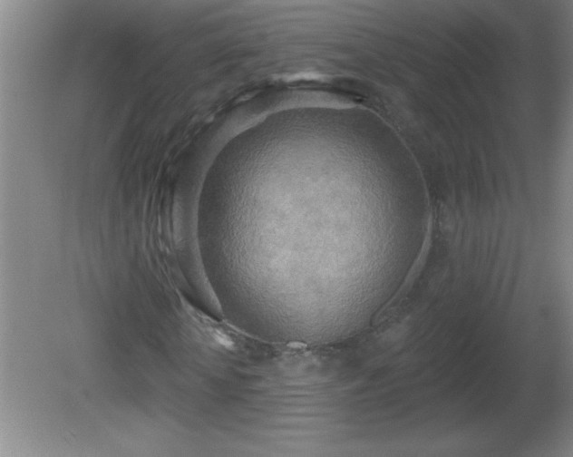 X0000081600818200701221134