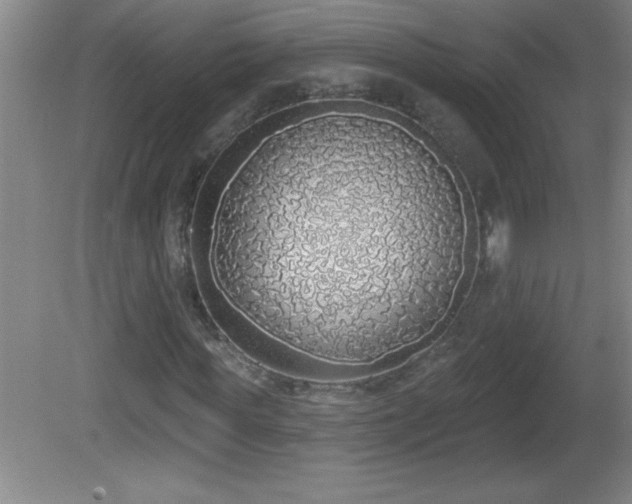 X0000081600819200701221134