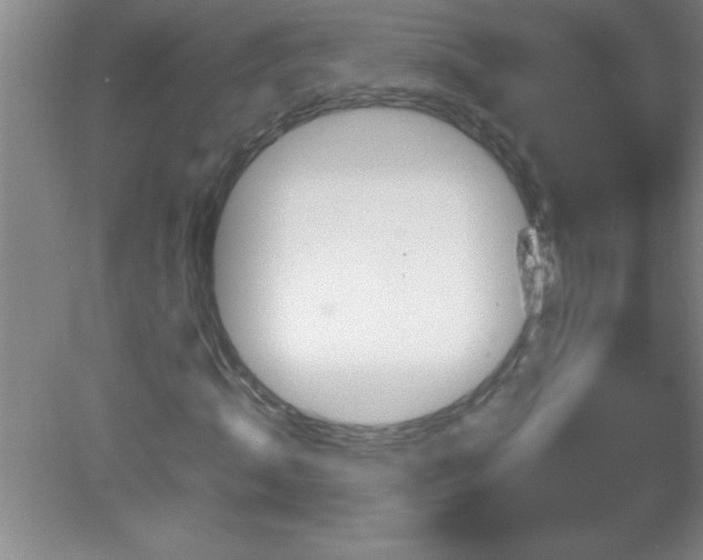 X0000081600820200701221134