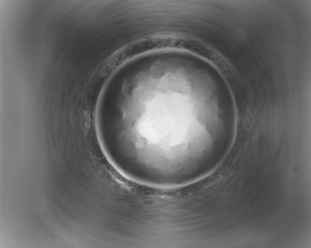 X0000081600821200701221134