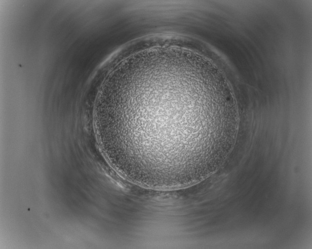 X0000081600823200701221134