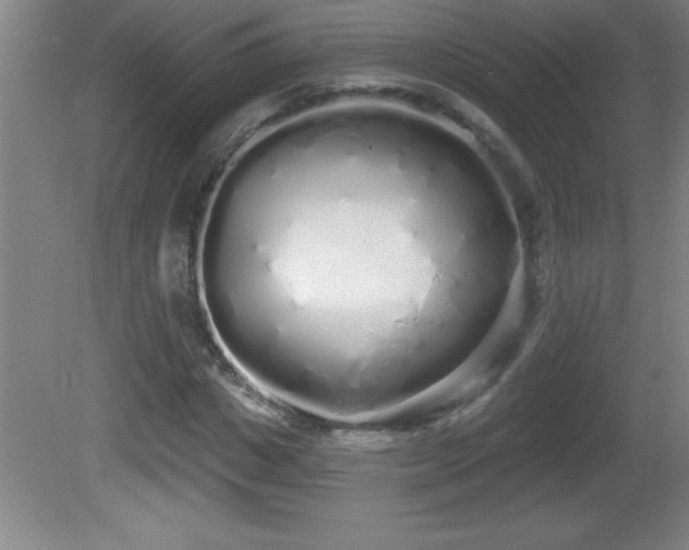 X0000081600825200701221134