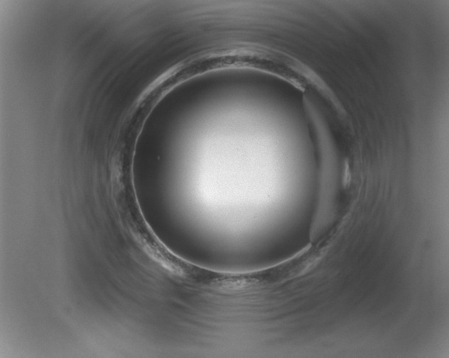 X0000081600826200701221134