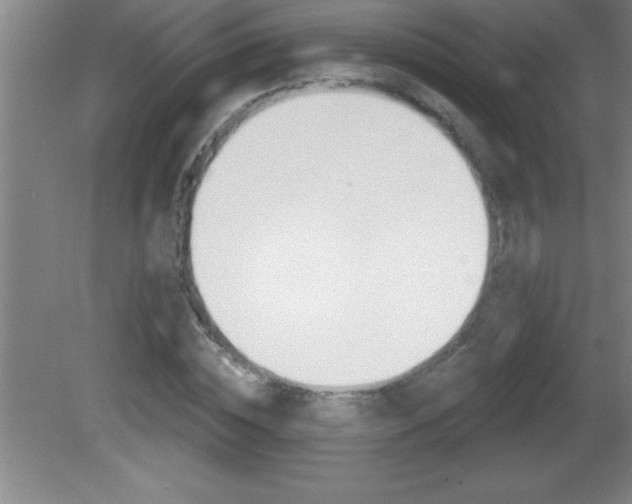 X0000081600828200701221134