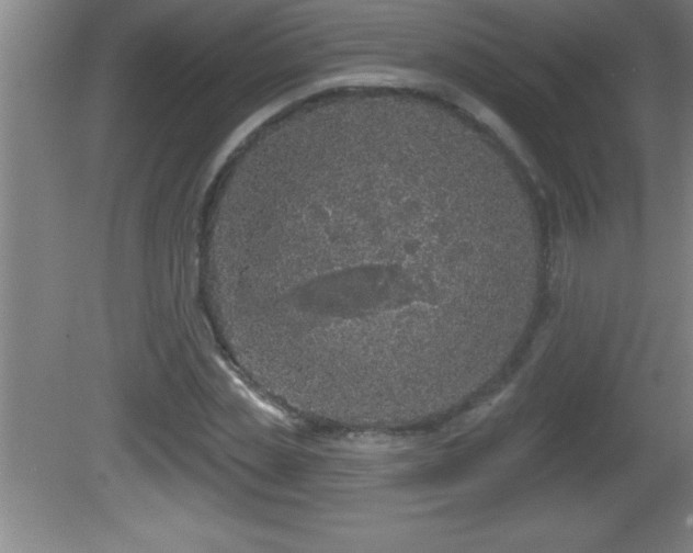 X0000081600829200701221134