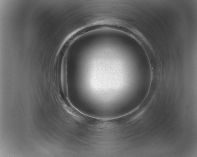 X0000081600830200701221134