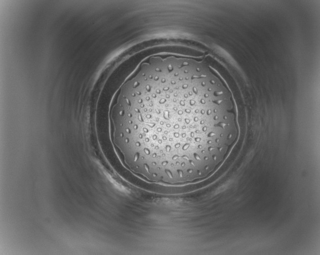 X0000081600831200701221134