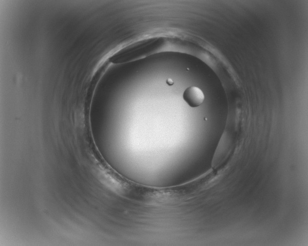 X0000081600834200701221134