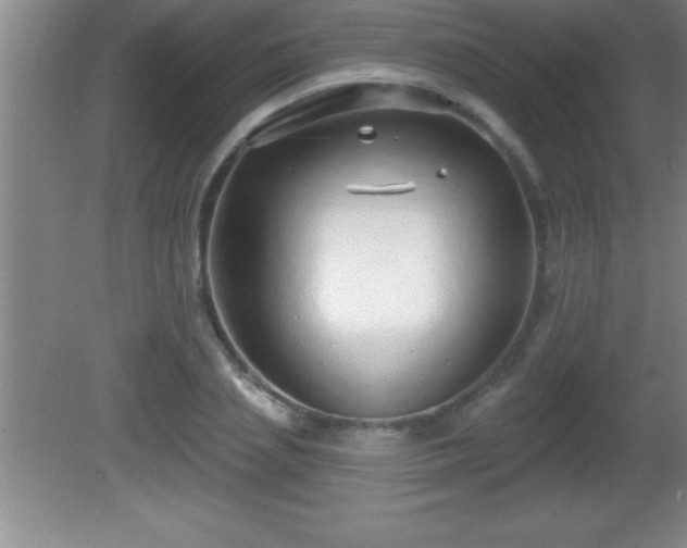 X0000081600837200701221134