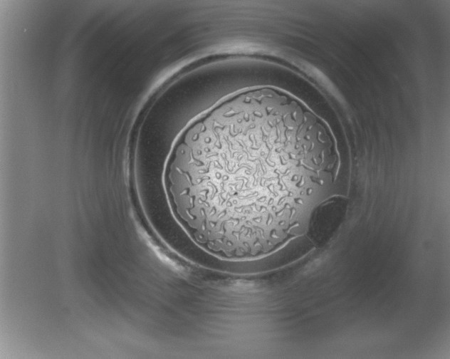 X0000081600839200701221134