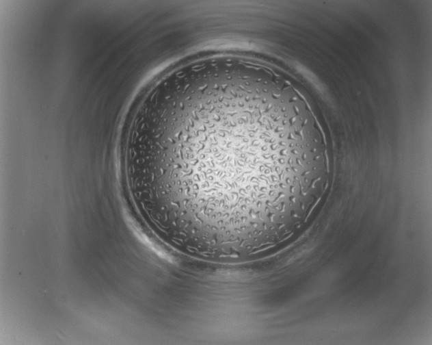 X0000081600840200701221134