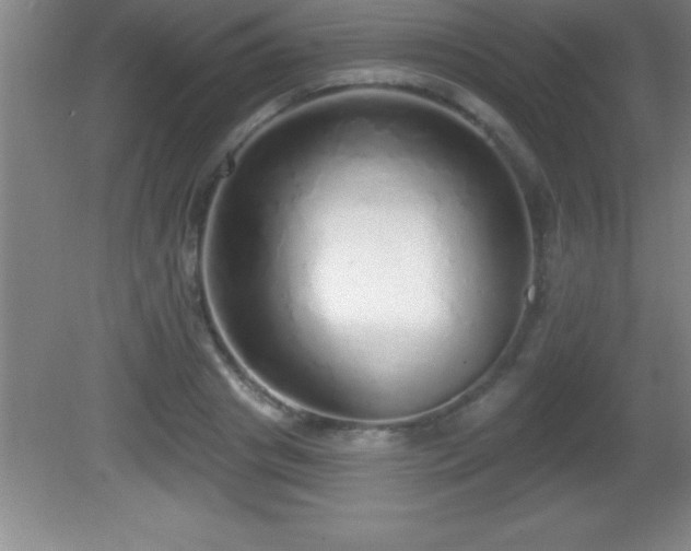 X0000081600841200701221134