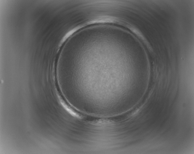 X0000081600842200701221134