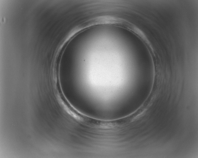 X0000081600843200701221134