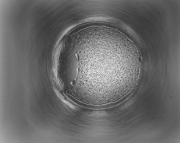 X0000081600844200701221134