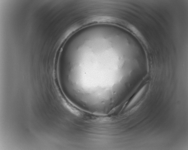 X0000081600845200701221134