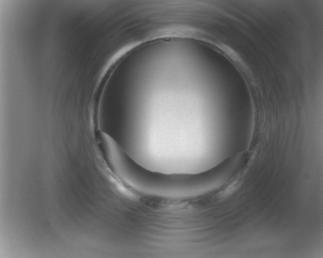 X0000081600846200701221134