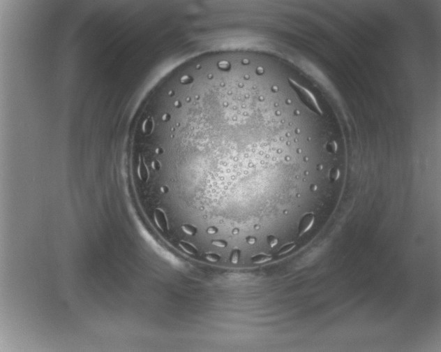 X0000081600847200701221134