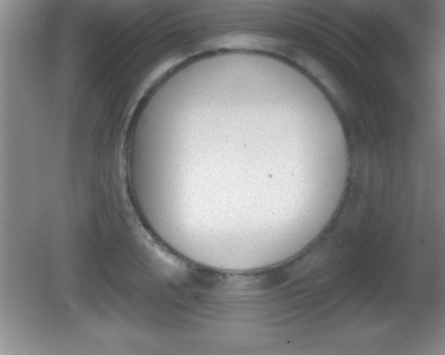 X0000081600848200701221134