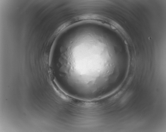 X0000081600849200701221134