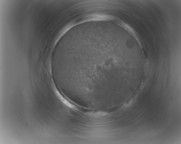 X0000081600851200701221134