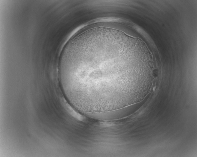 X0000081600852200701221134