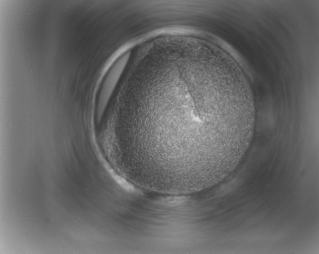 X0000081600853200701221134