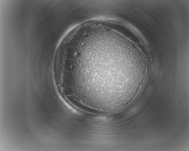 X0000081600855200701221134