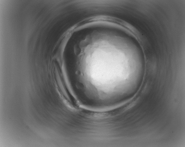 X0000081600857200701221135