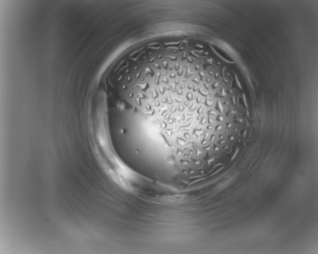 X0000081600859200701221135