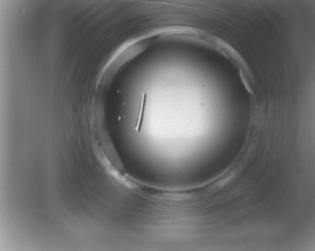 X0000081600860200701221135