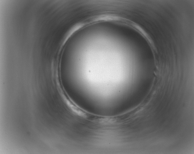 X0000081600861200701221135