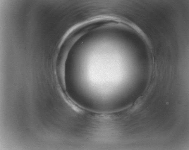 X0000081600862200701221135