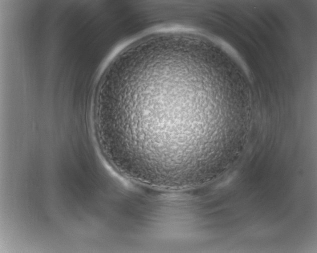 X0000081600863200701221135