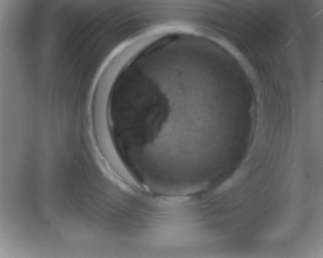 X0000081600864200701221135