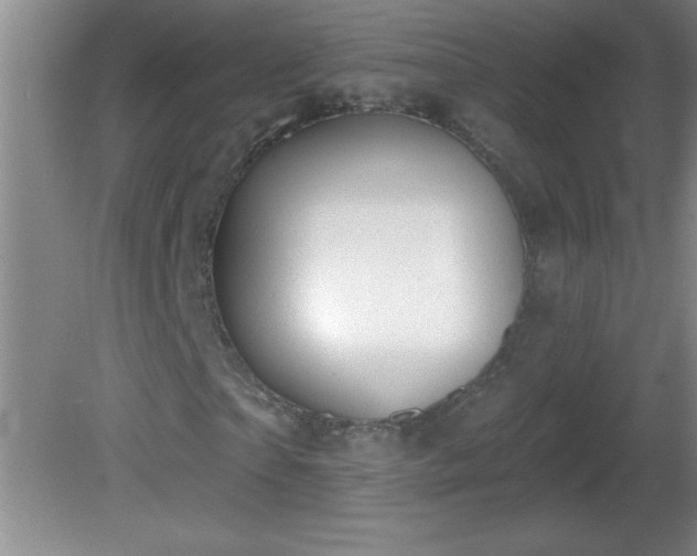 X0000081600865200701221134