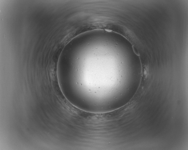 X0000081600867200701221134