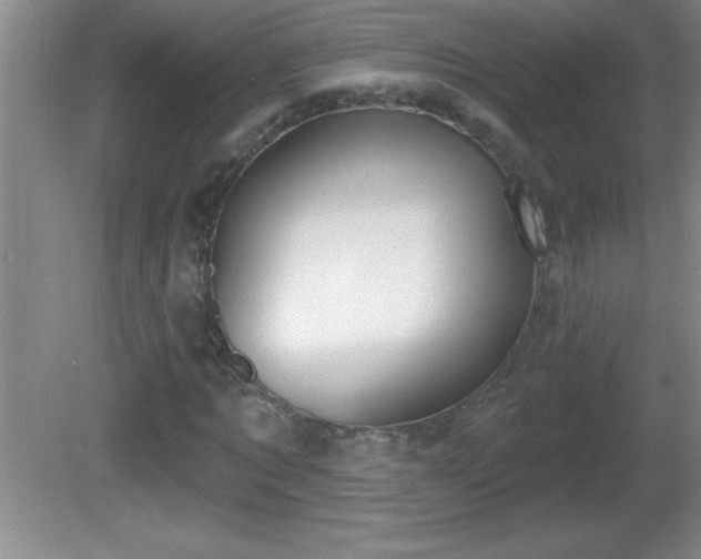 X0000081600869200701221134