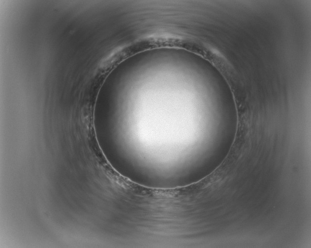 X0000081600870200701221134