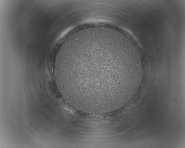 X0000081600871200701221134