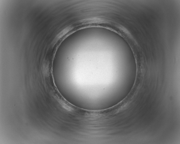 X0000081600873200701221134