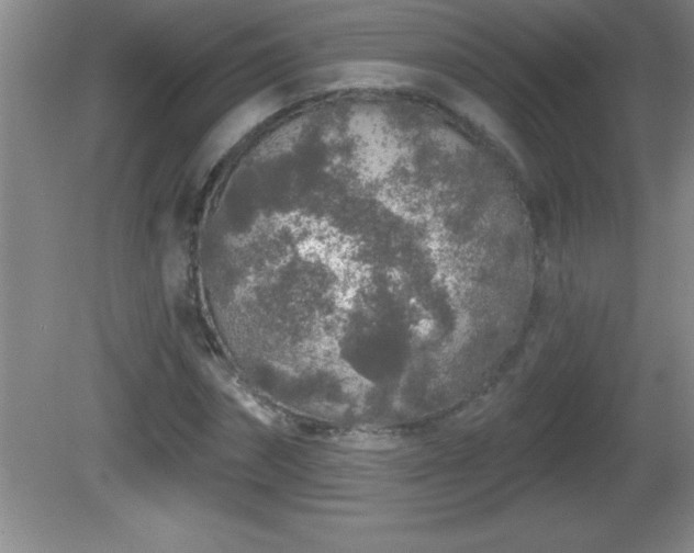 X0000081600874200701221134