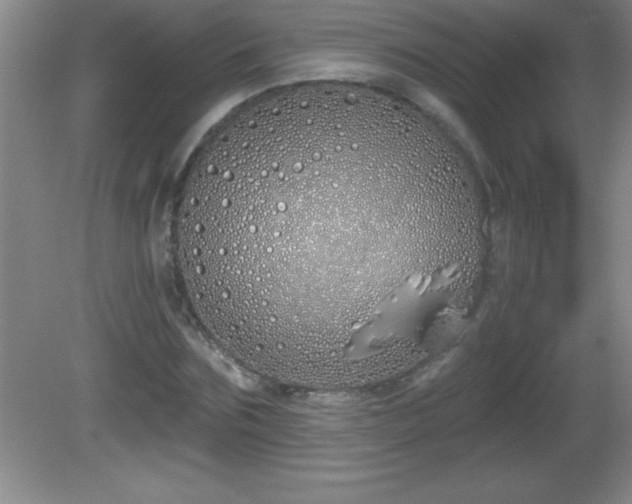 X0000081600875200701221134