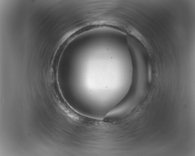 X0000081600876200701221134