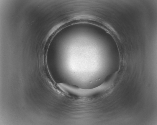 X0000081600877200701221134