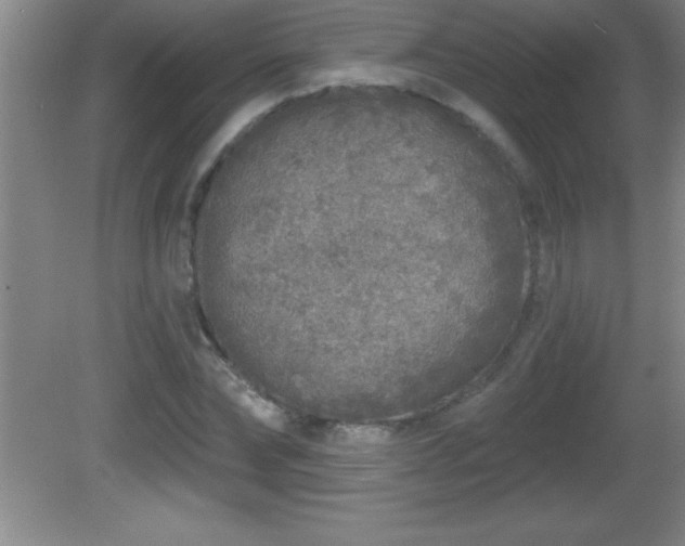 X0000081600878200701221134