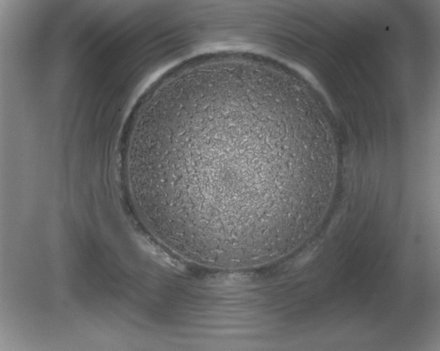 X0000081600879200701221134