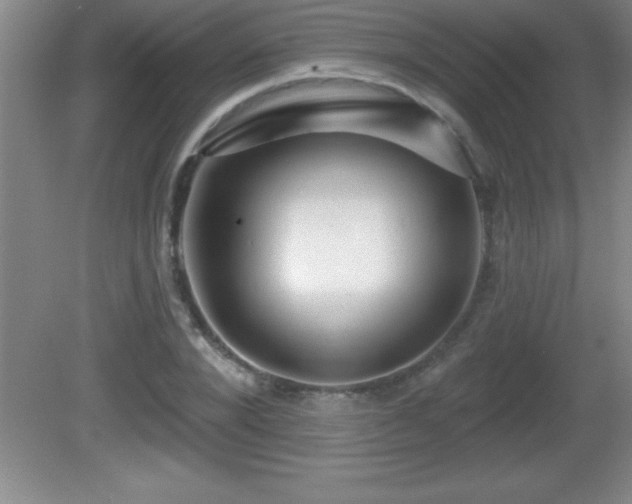 X0000081600880200701221134